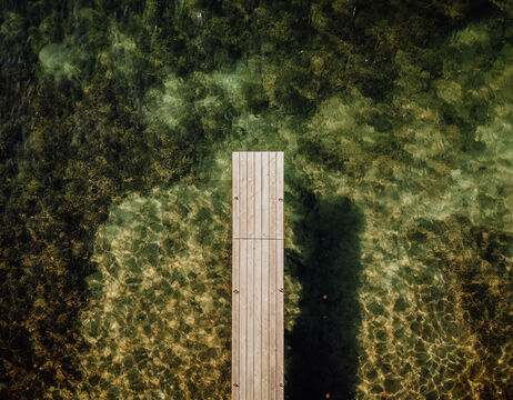 Zwei Männer begutachten Trauben, während sie in einem sonnigen Weinberg zwischen grünen Reben stehen.