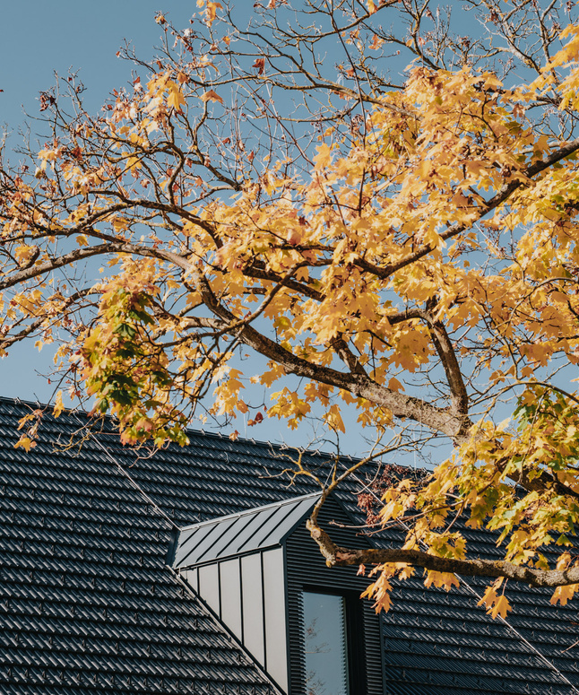 Ein Baum mit gelben Herbstblättern überragt ein dunkles Ziegeldach vor einem klaren blauen Himmel.