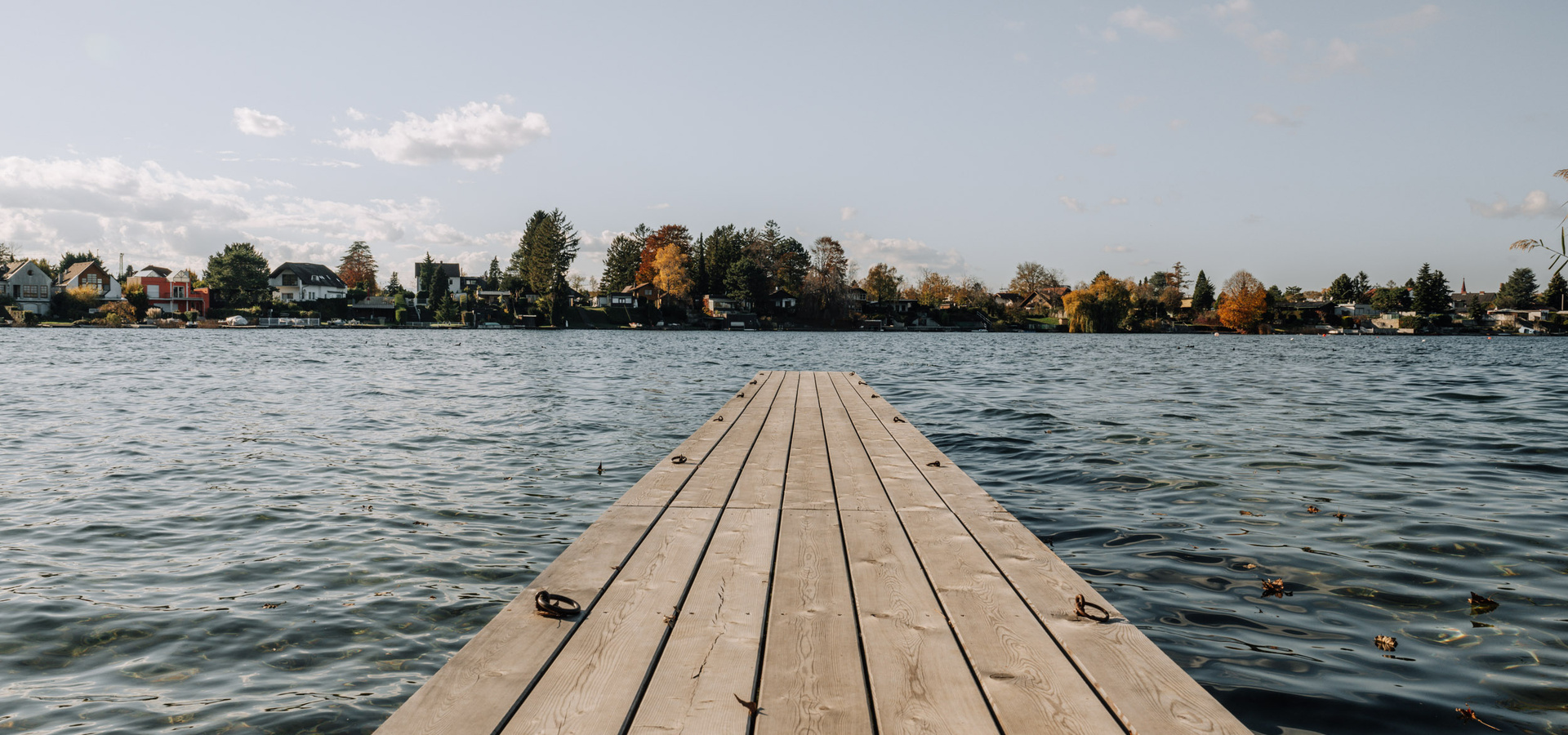 Lächelnder Mann in einem Weinberg, der an einem sonnigen Tag Trauben erntet, mit Weinstöcken und Behältern um ihn herum.