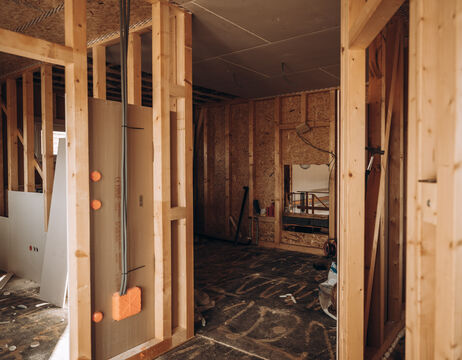 In einem Weinberg werden die Trauben in einer Schubkarre geerntet, umgeben von Reben und Laub.