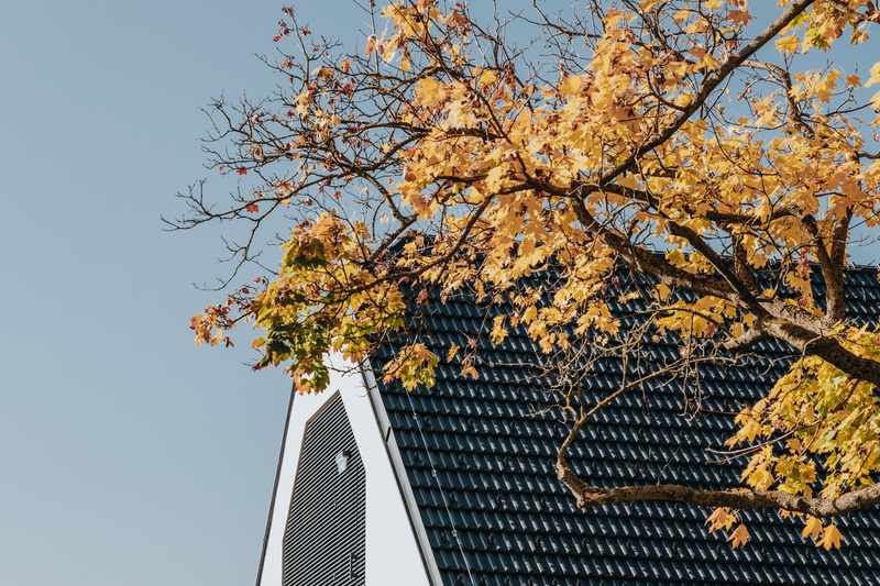Ein Baum mit gelben Herbstblättern neben einem modernen Gebäude mit einem dunklen Ziegeldach unter einem klaren Himmel.