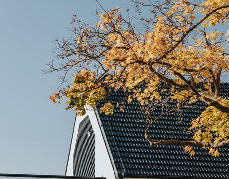 Ein Baum mit gelben Herbstblättern neben einem modernen Gebäude mit einem dunklen Ziegeldach unter einem klaren Himmel.