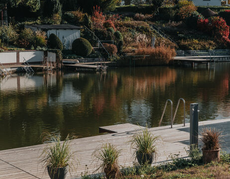Ein hölzerner Steg mit Metallgeländer blickt auf einen ruhigen Teich, der von herbstlichen Pflanzen und Gartenanlagen umgeben ist.