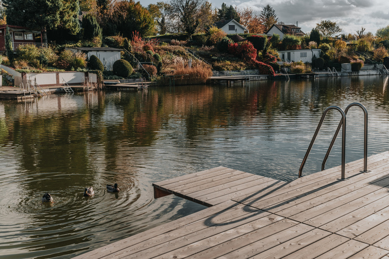 Hölzerner Steg an einem ruhigen See mit schwimmenden Enten; im Hintergrund Häuser und Bäume mit Herbstlaub.
