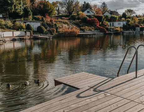 Hölzerner Steg an einem ruhigen See mit schwimmenden Enten; im Hintergrund Häuser und Bäume mit Herbstlaub.
