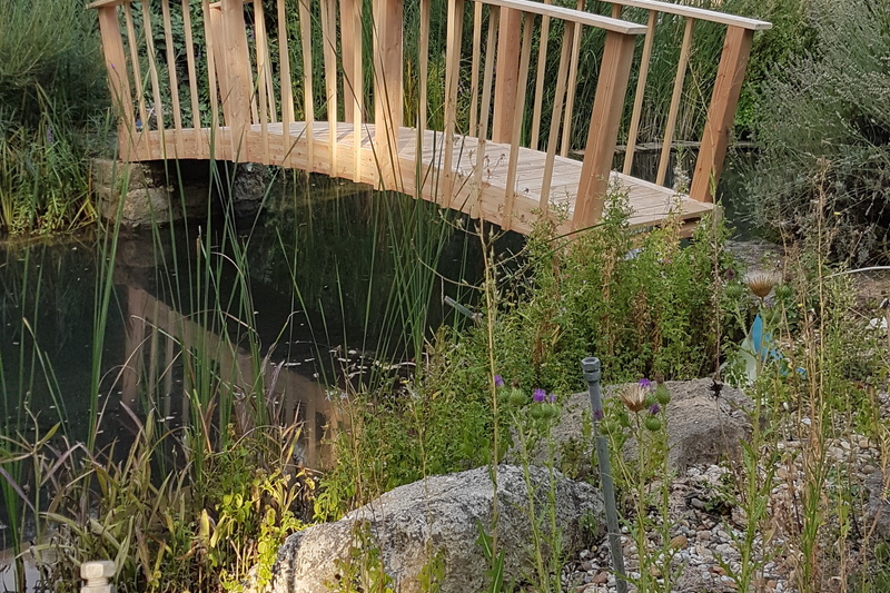 Ein Holzsteg führt über einen Teich, der von Felsen, hohem Gras und Wildpflanzen umgeben ist.