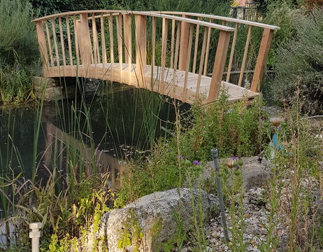 Ein Holzsteg führt über einen Teich, der von Felsen, hohem Gras und Wildpflanzen umgeben ist.