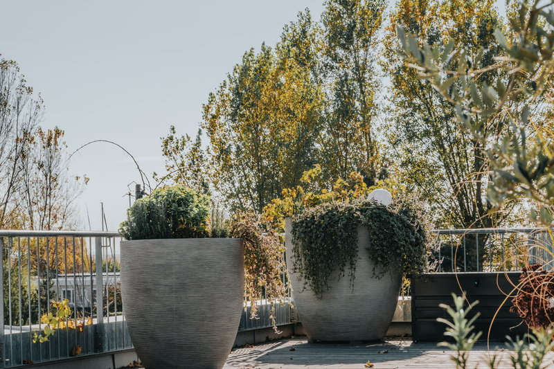 Große graue Pflanzgefäße mit grünen Pflanzen auf einer sonnigen Terrasse, Bäume und Geländer im Hintergrund.