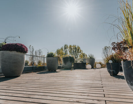 Sonnige Dachterrasse mit Holzfußboden, großen Topfpflanzen und Bäumen im Hintergrund.