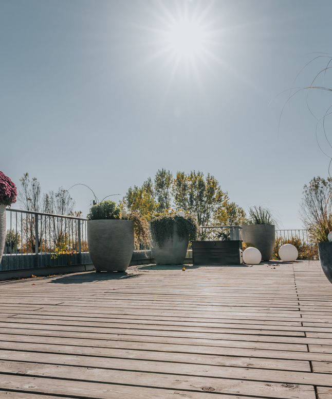 Sonnige Dachterrasse mit Holzfußboden, großen Topfpflanzen und Bäumen im Hintergrund.