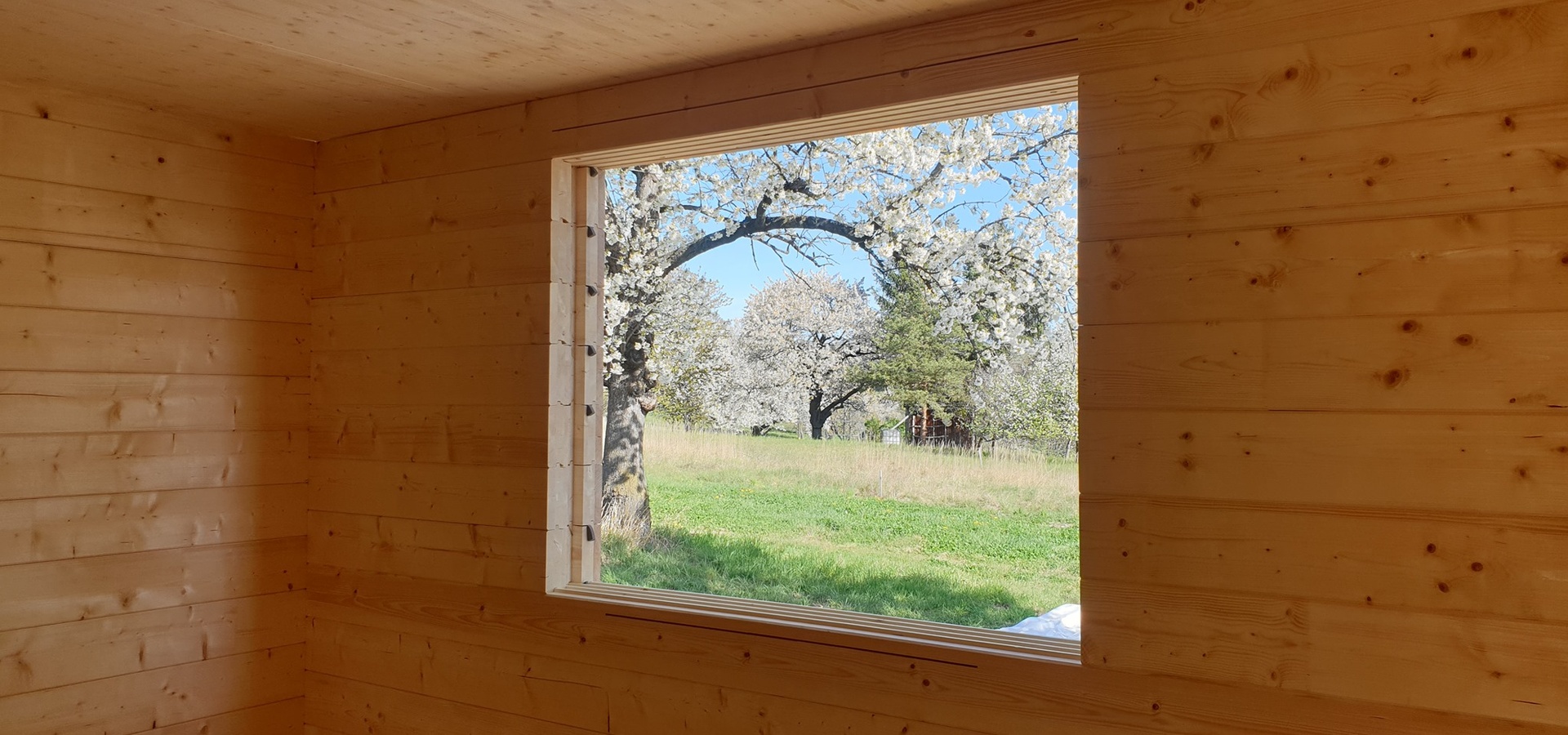 Ein hölzernes Zimmer mit einem Fenster, das blühende Bäume und grünes Gras an einem sonnigen Tag zeigt.